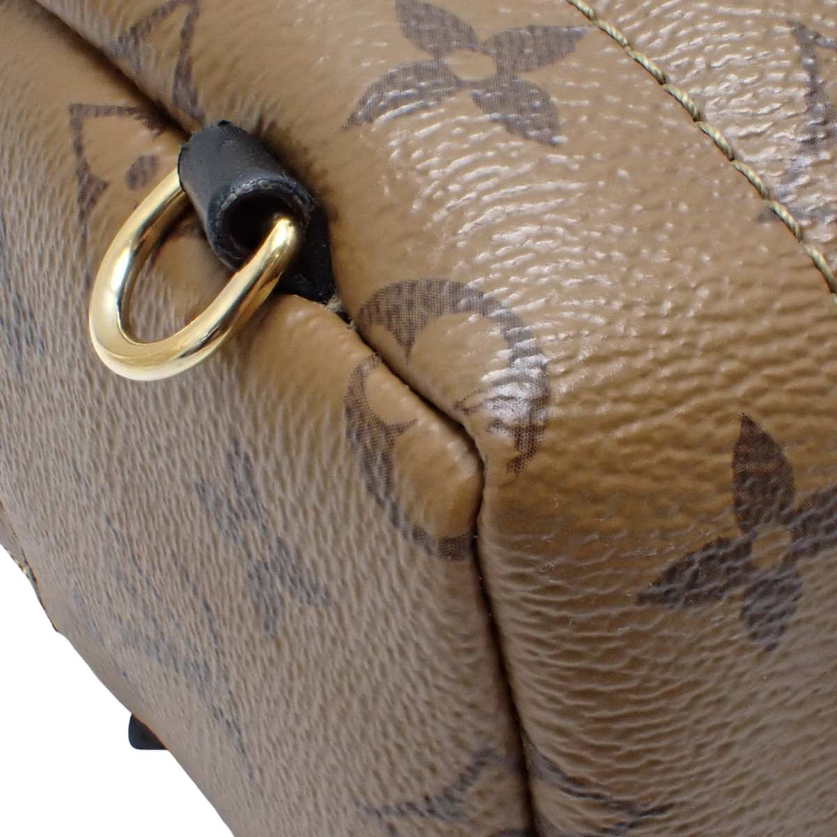 Monogram/Monogram Reverse Palm Springs Backpack MINI M44872