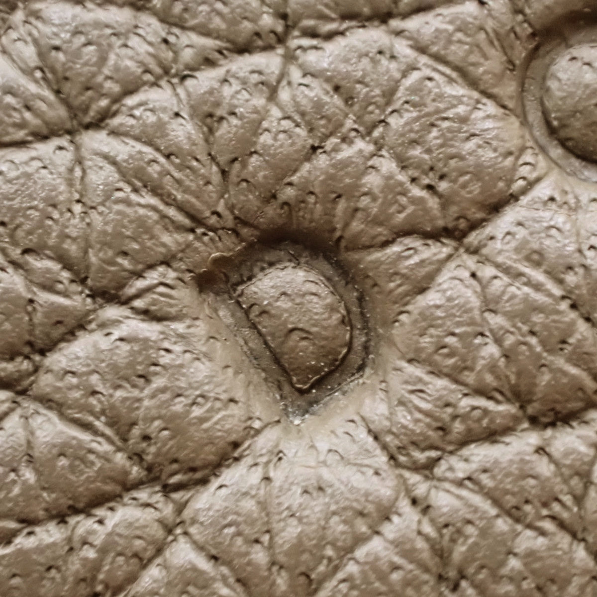 リンディ30 トゴ エトゥープ/エトープ ゴールド金具 D刻印