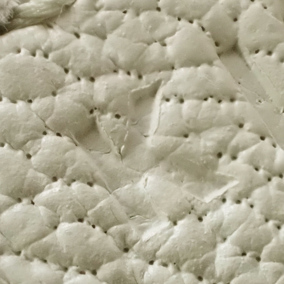 【全新】铂金包 25K 鸵鸟皮 Nata 金配件