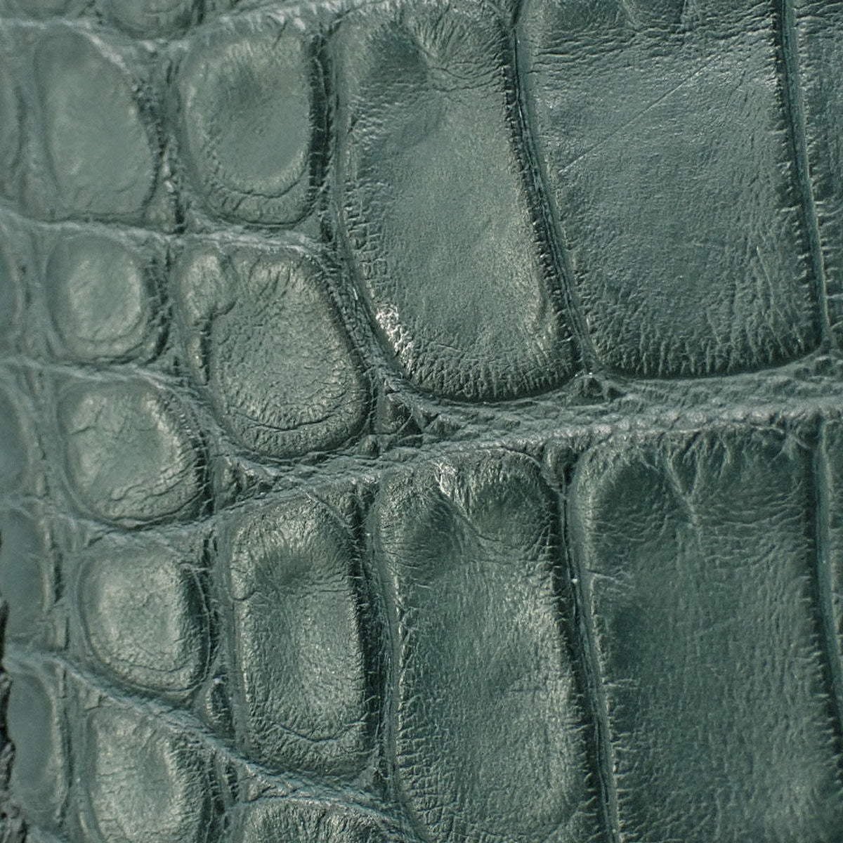 サック ヴァンキャトル ミニ21 タッチ アリゲーター クロコダイル スイフト ヴェールボスフォール ヴェールシプレス ゴールド金具 B刻印