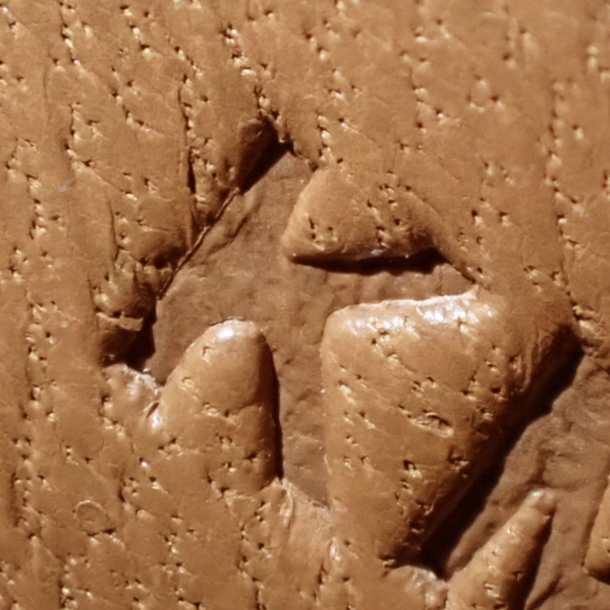 Constance Elan Epsom Gold 金色款，配金色五金件和 K 印记