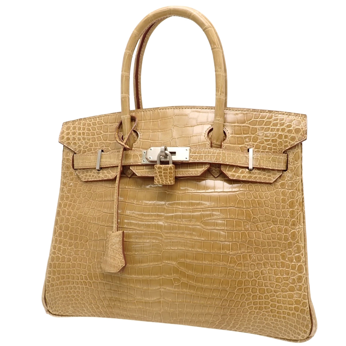 バーキン30 ポロサス クロコダイル パラジウム金具 フィセル マットシルバー金具 □D刻印