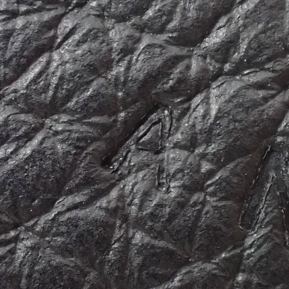 Jypsiere 31 Taurillon Clemence Palladium Hardware Black A Stamp