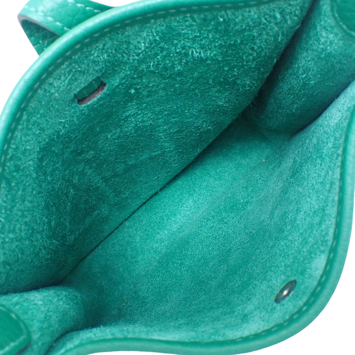 Evelyne Amazone TPM Taurillon Clemence Palladium hardware Vert Vertigo W stamp