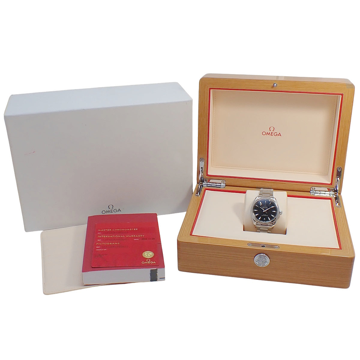 Seamaster Aqua Terra 220.10.38.20.01.001 SS Automatic Men's Watch